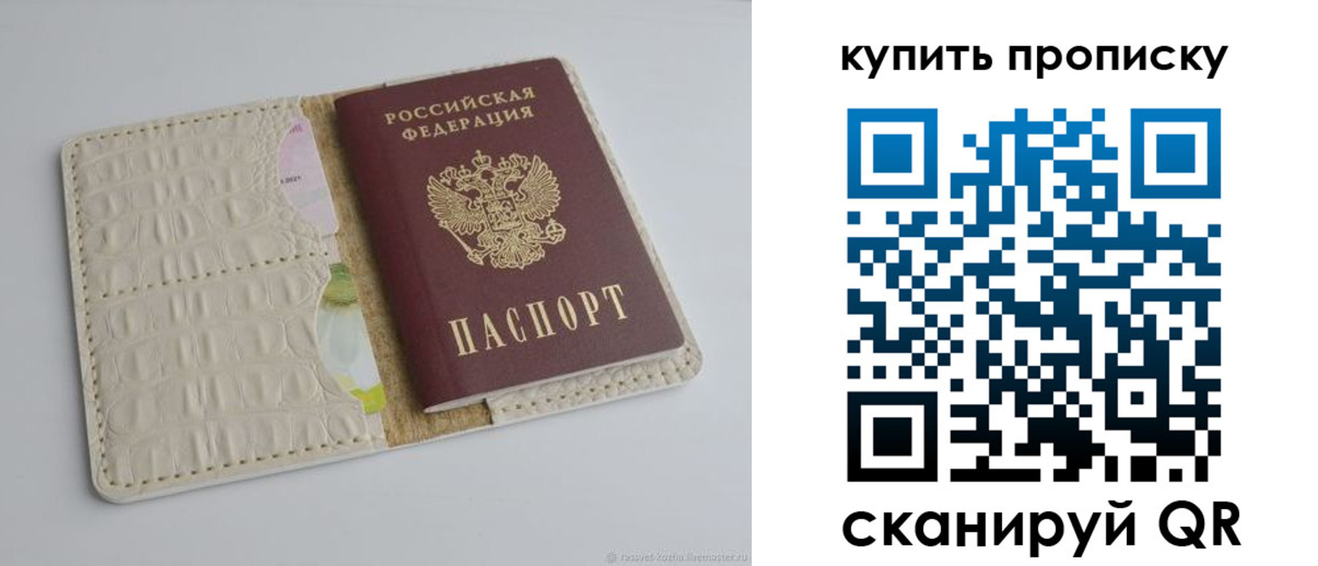 временная регистрация гарантия в Ленинградской области
