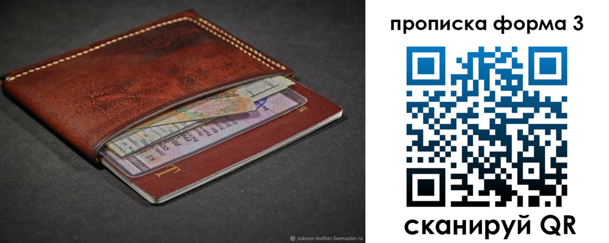 прописка паспорт в Ленинградской области